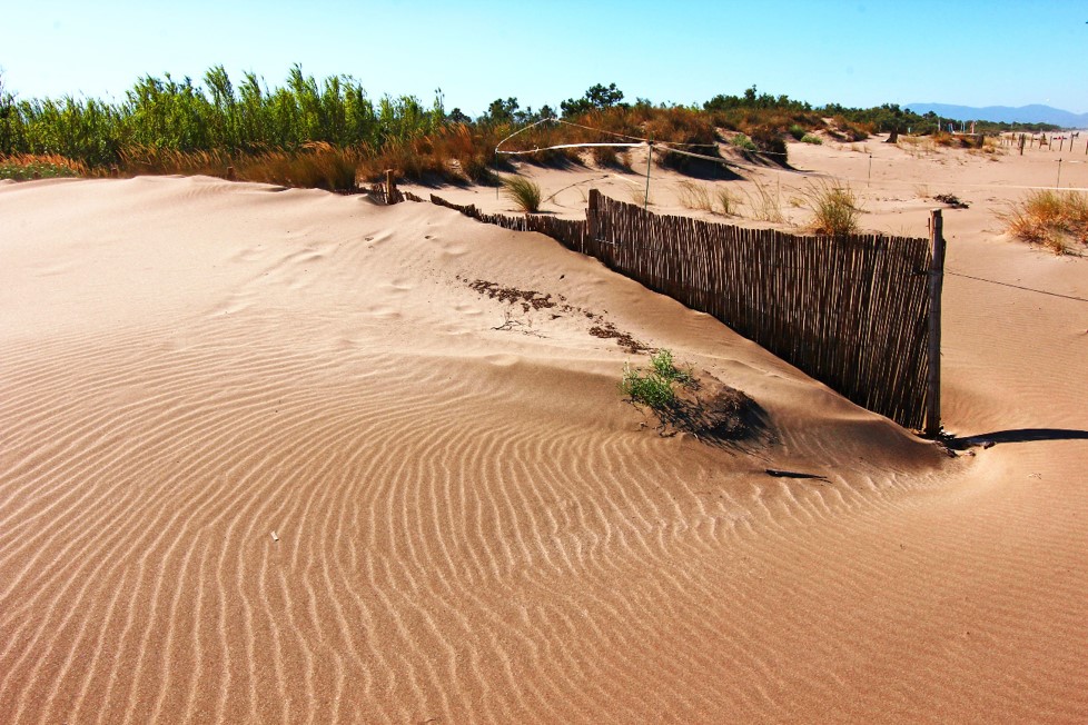 playa de las dunas