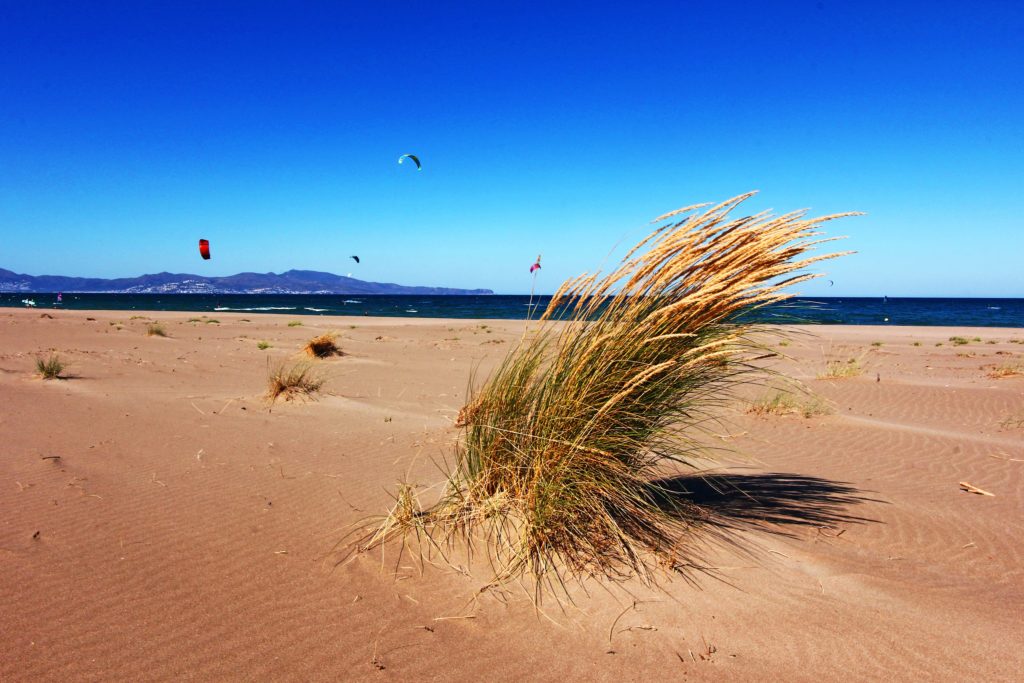playa de las dunas