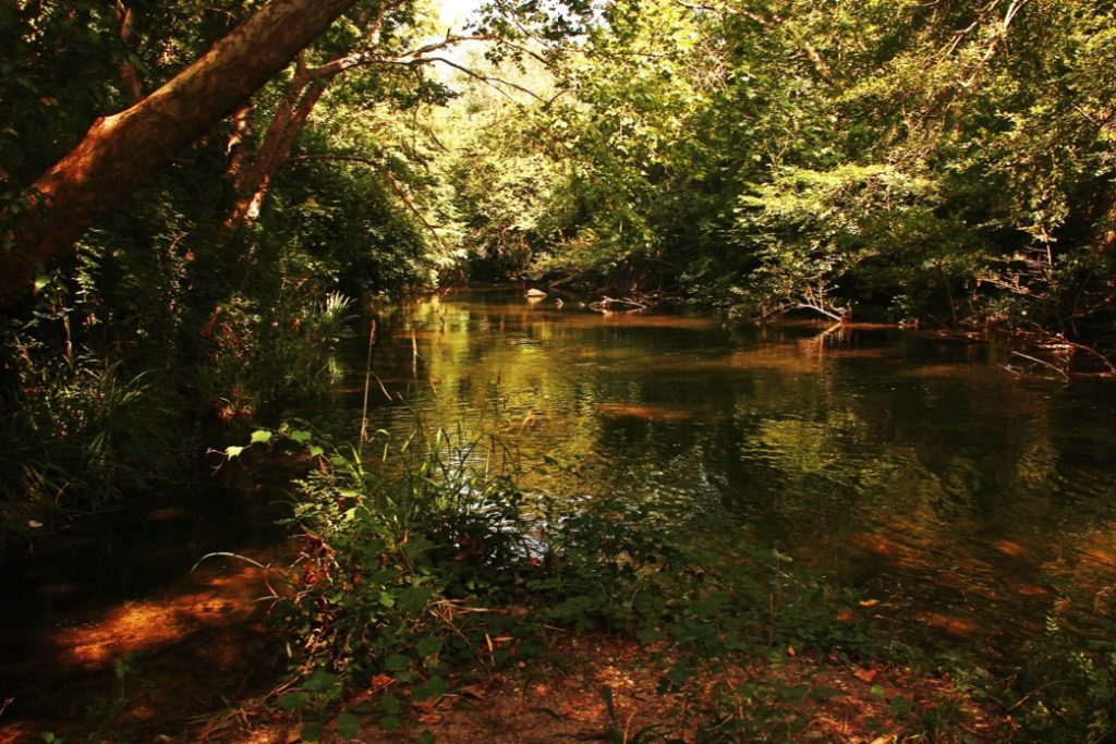Zona picnic en el río Muga