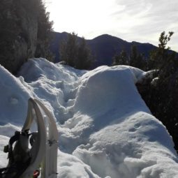 <strong>Raquetas de nieve en el Valle de Ordesa </strong>
