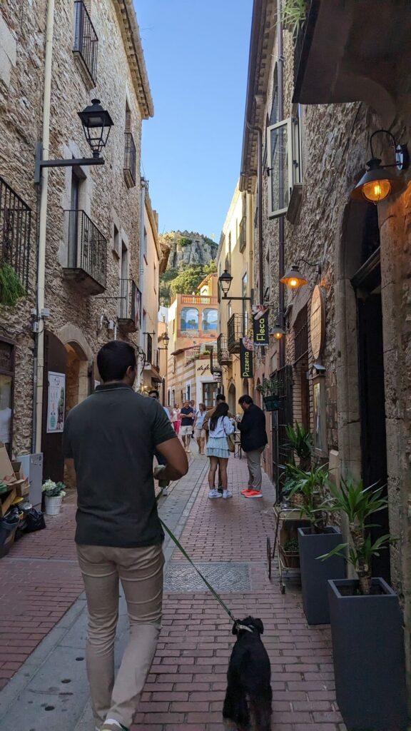 Parcours en vélo électrique à travers les villages médiévaux de la Costa Brava