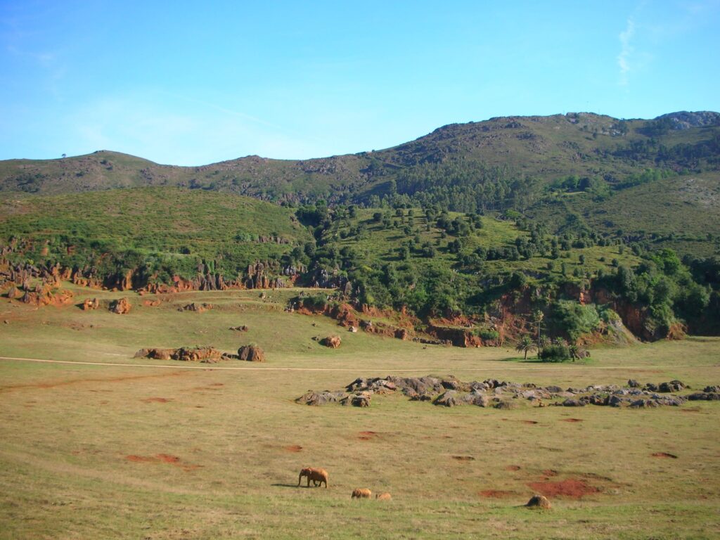 parque de cabárceno cantabria