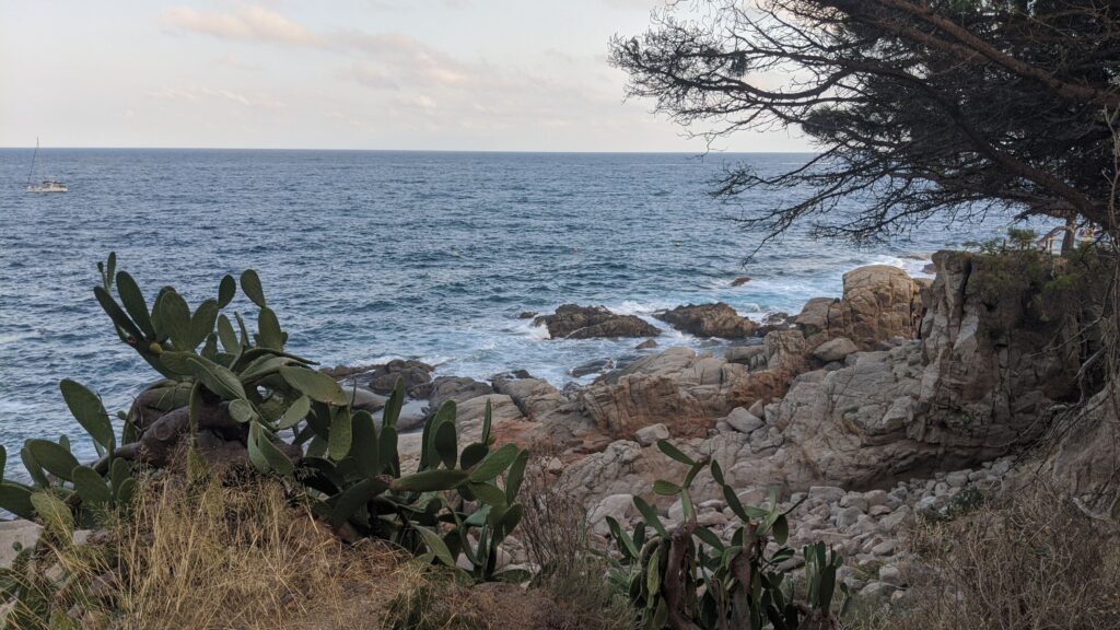 Visitar Calella de Palafrugell