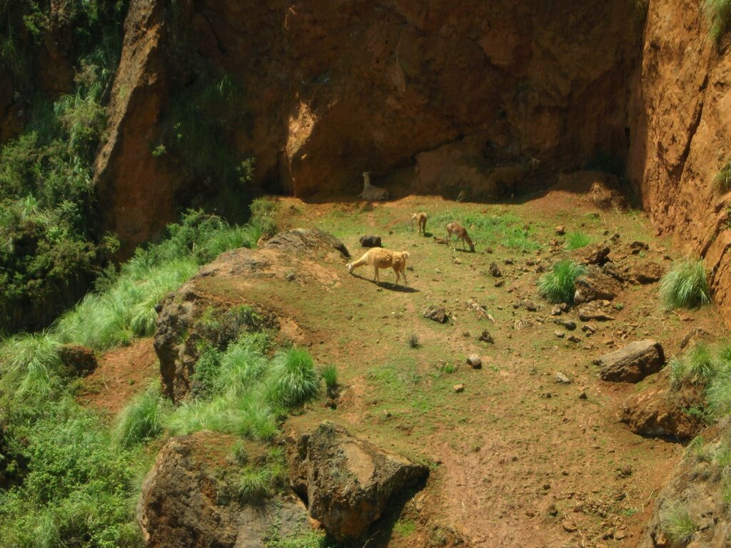 parque de cabárceno cantabria