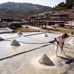 salinas de añana