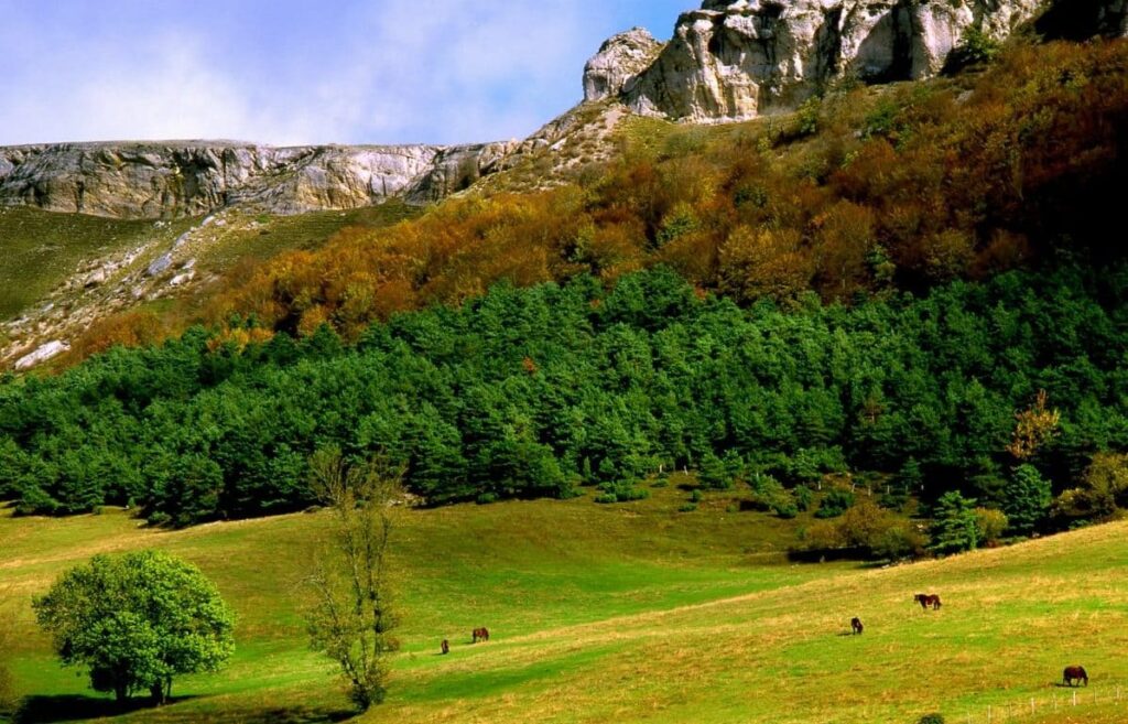 montes de valdegovía