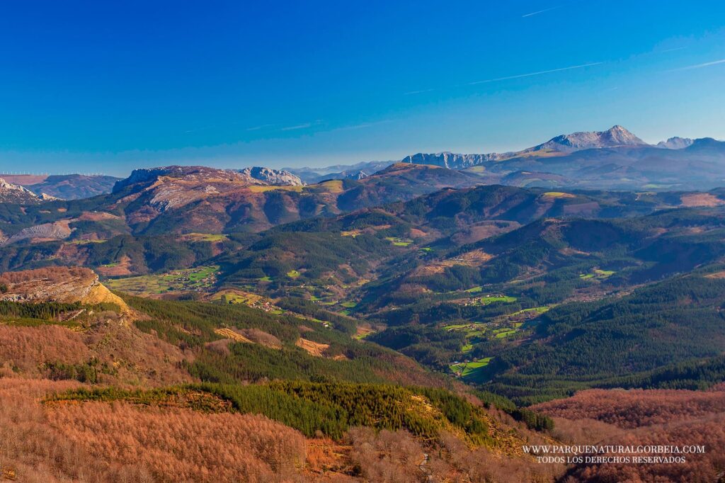 Parque Natural de Gorbeia