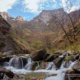 Parc naturel de Gorbeia