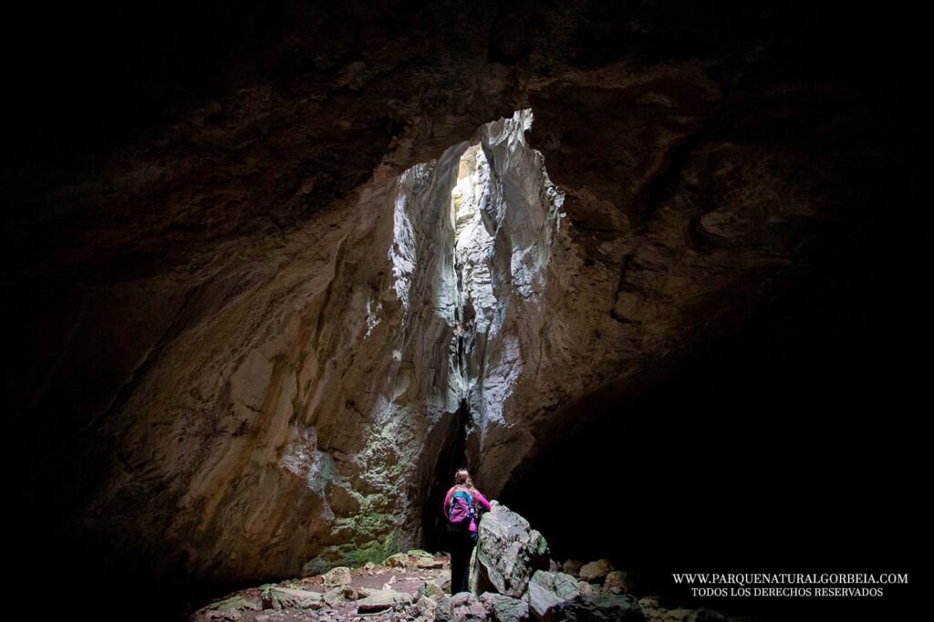 Parque Natural de Gorbeia