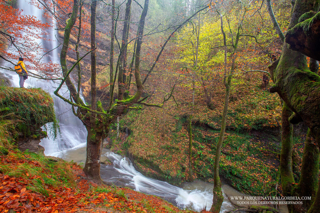 Parque Natural de Gorbeia