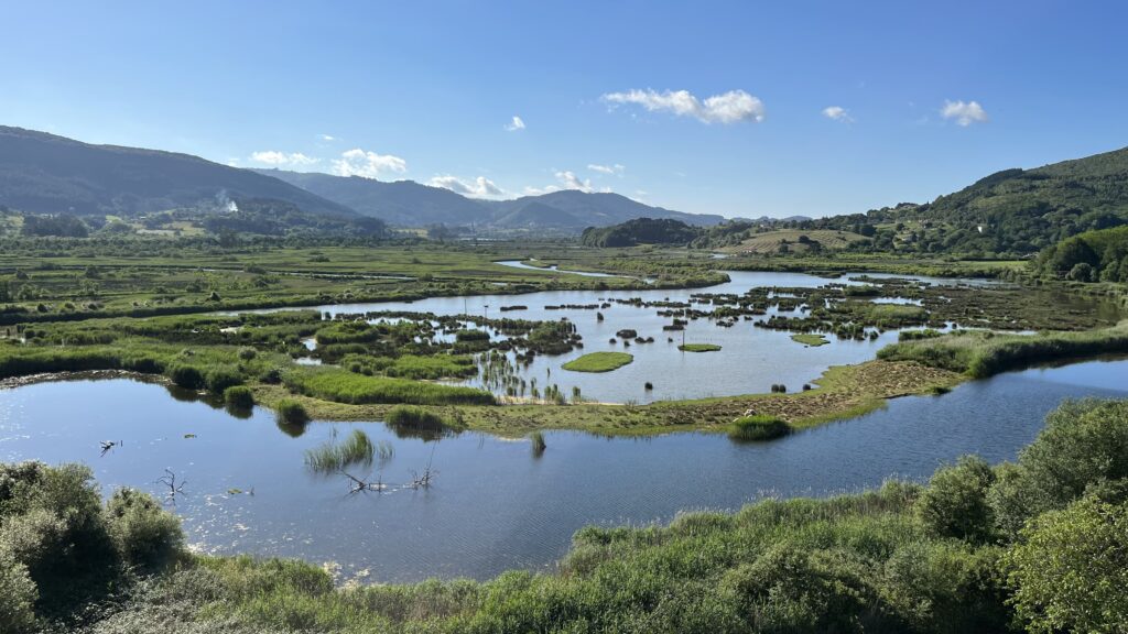 urdaibai