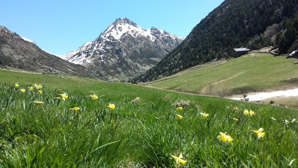 picnic valle de incles