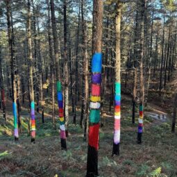 Promenade dans la forêt d’Oma