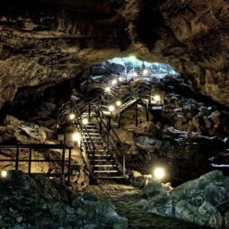 Cuevas de Altamira, prehistoria en Cantabria 