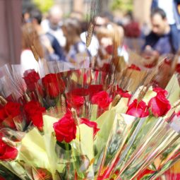 Où célébrer la Diada de Sant Jordi sur la Costa Brava?