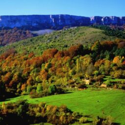 montes de valdegovía