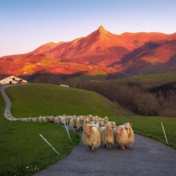 Route de l’Idiazabal dans le parc naturel d’Aralar